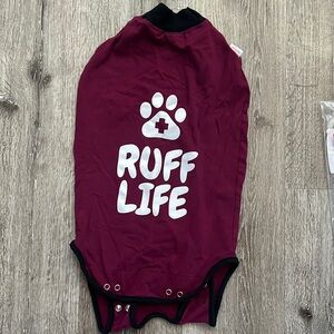 Recovery suit for dog